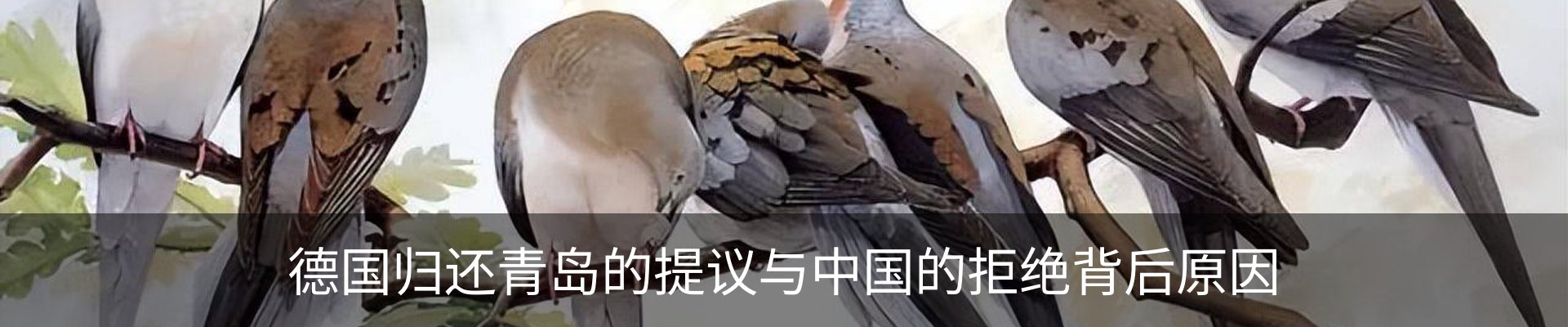 资讯动态